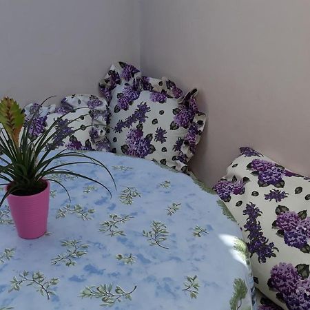 Mini Apartment Petra - Rooms Purple & Green With Kitchen And Garden ドゥブロブニク エクステリア 写真