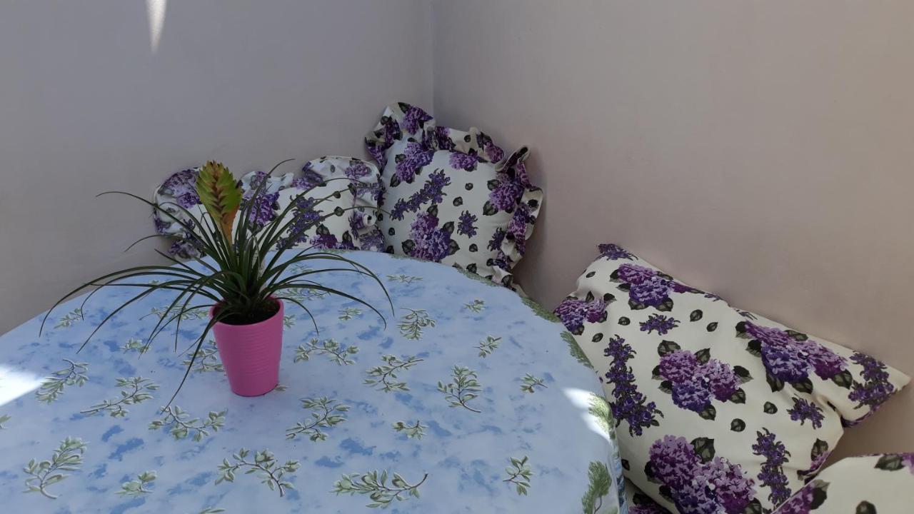 Mini Apartment Petra - Rooms Purple & Green With Kitchen And Garden ドゥブロブニク エクステリア 写真